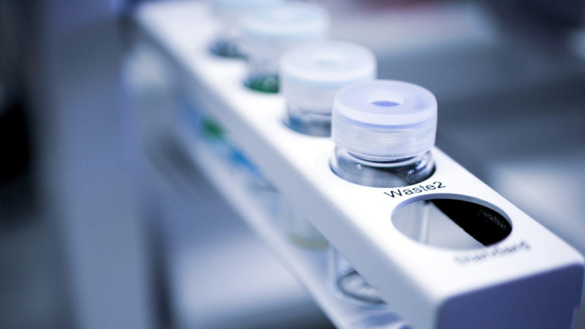 Sémaglutide versus tirzépatide en recherche